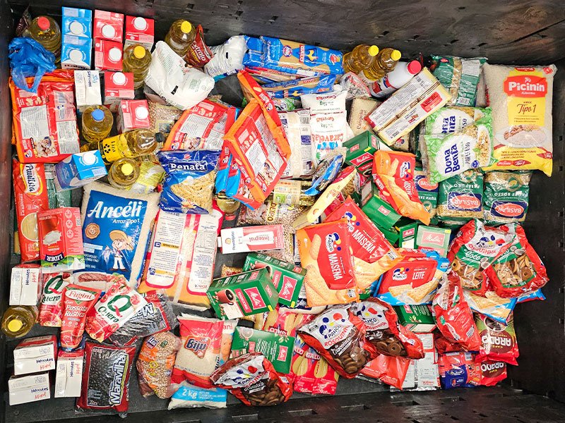Dia da Árvore: Preservação ambiental e solidariedade 17 800x600 mudas11