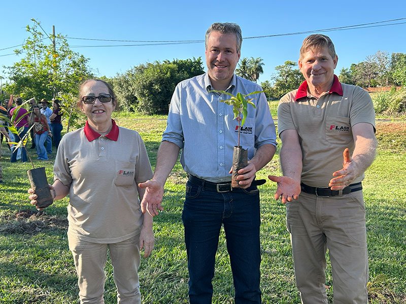 Dia da Árvore: Preservação ambiental e solidariedade 7 800x600 mudas13