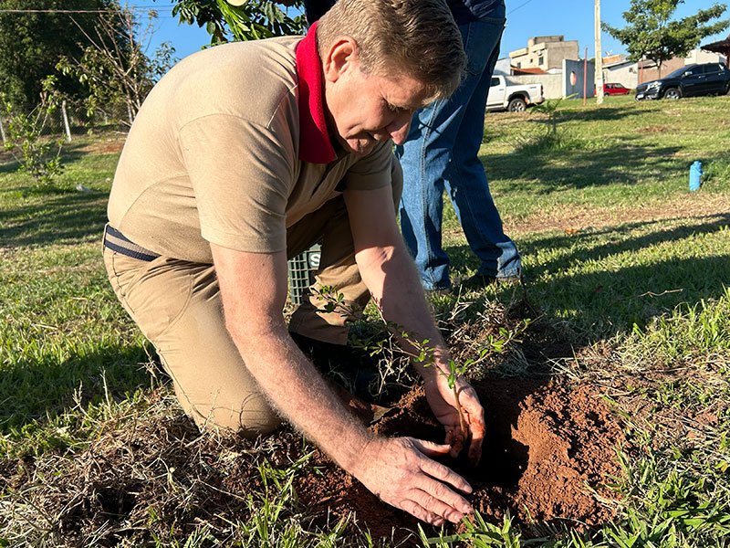 Dia da Árvore: Preservação ambiental e solidariedade 5 800x600 mudas14