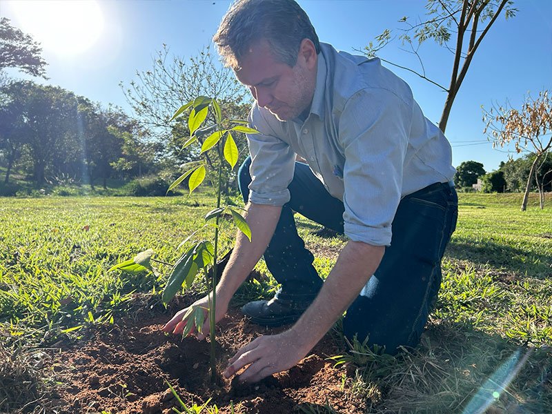 Dia da Árvore: Preservação ambiental e solidariedade 3 800x600 mudas15