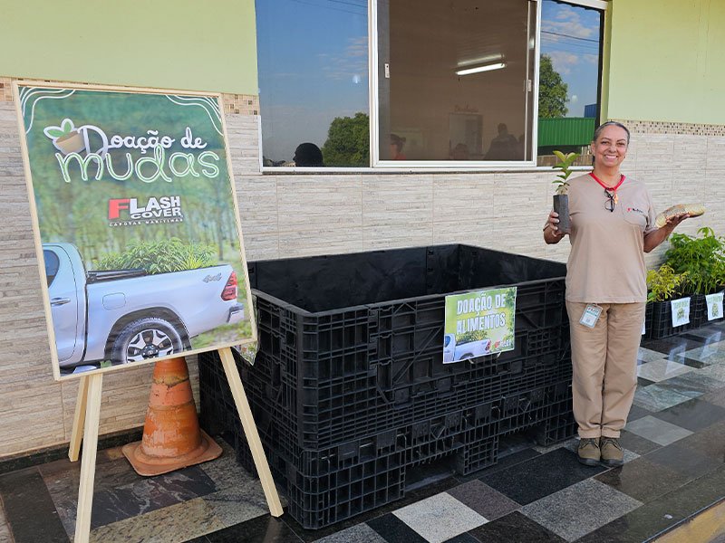 Dia da Árvore: Preservação ambiental e solidariedade 16 800x600 mudas20