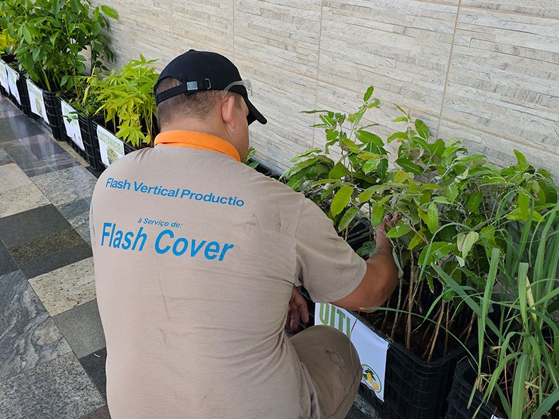 Dia da Árvore: Preservação ambiental e solidariedade 11 800x600 mudas8
